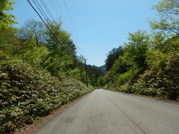 新緑が気持ちいい飛騨路ツーリング_b0209484_19200727.jpg