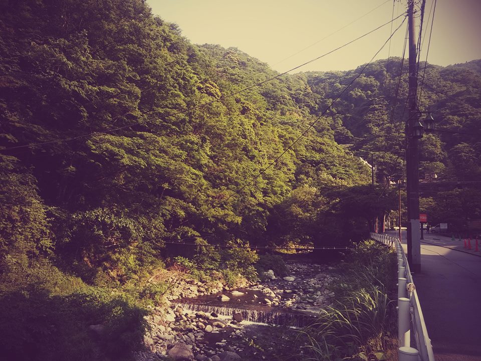 美しき箱根パート2_b0210688_21294386.jpg