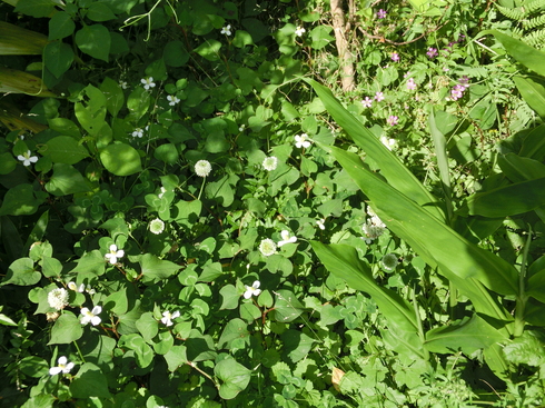 e0159192_15375153.jpg