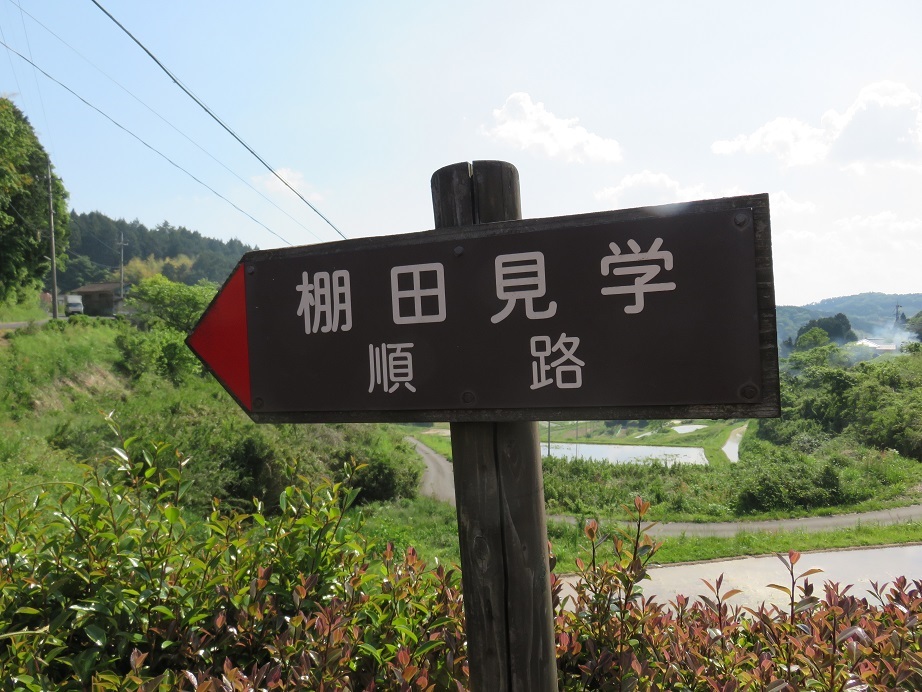 c0203393_14591627.jpg