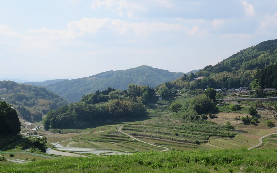 c0203393_14592140.jpg