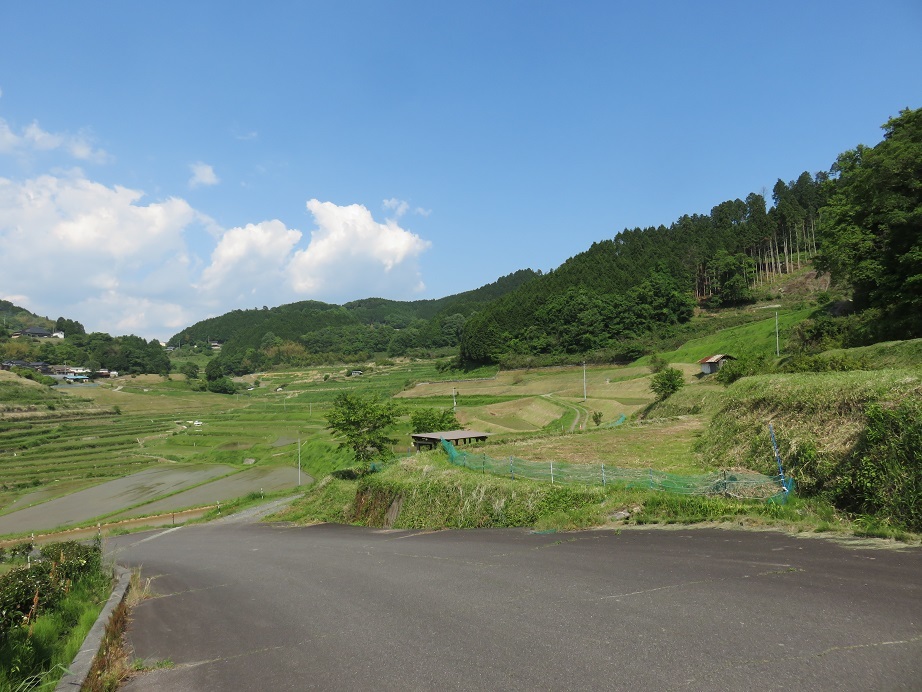 c0203393_14592560.jpg