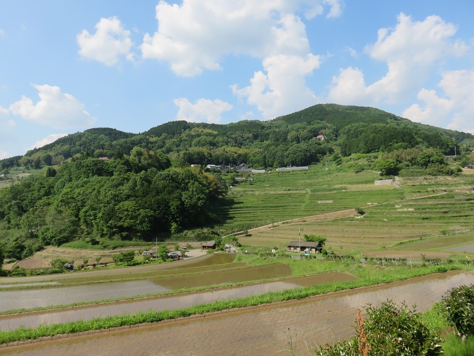 c0203393_15000532.jpg