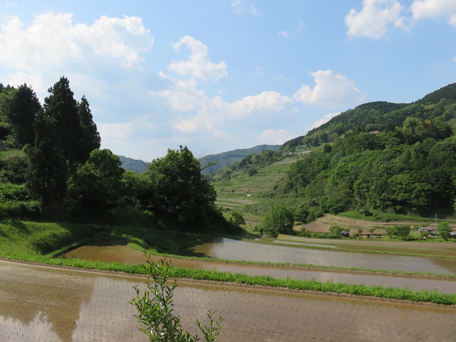 c0203393_15001576.jpg