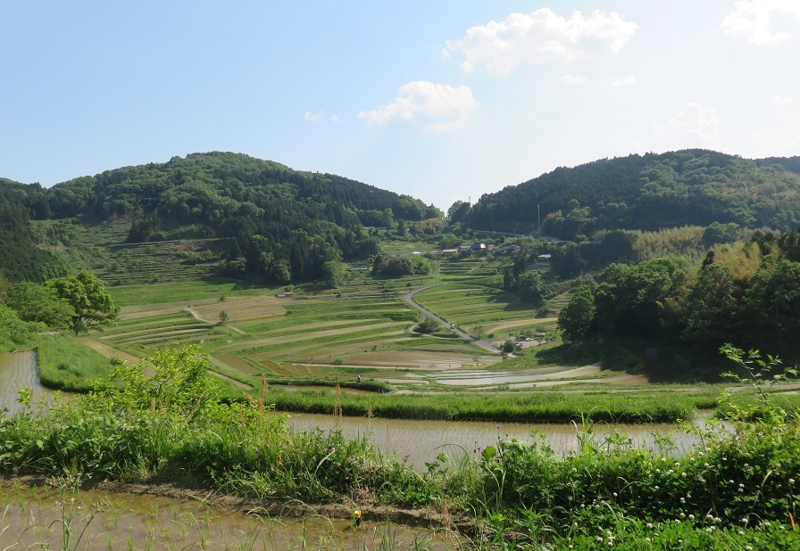 c0203393_15043564.jpg
