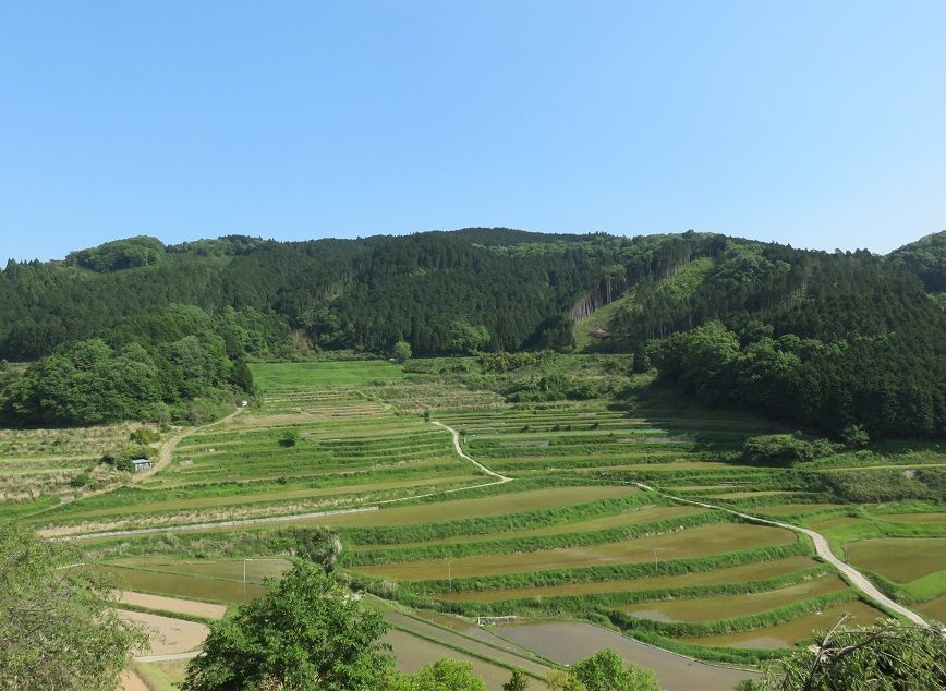 c0203393_15044039.jpg