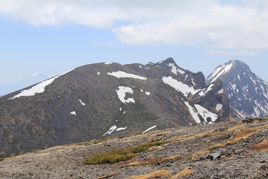 a0158702_80417.jpg