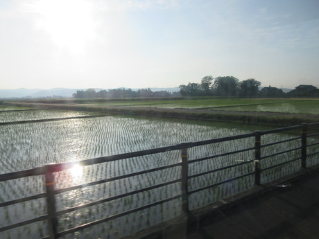 a0203003_2024089.jpg
