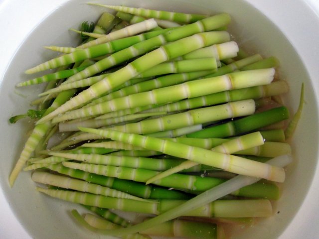 a0345007_13295986.jpg