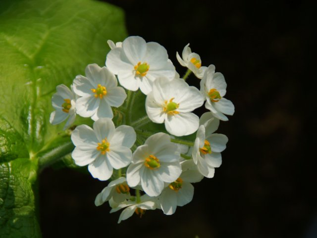 a0345007_73072.jpg