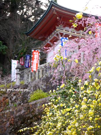 春の思い出☆聖なる自然が宿る場所_c0098807_04103.jpg