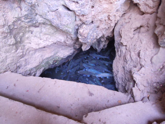 b0330009_17361072.jpg