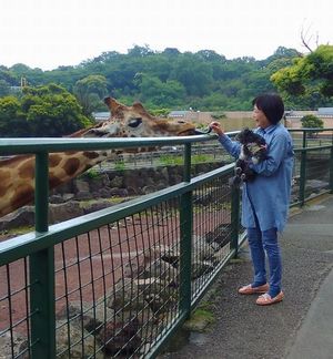 キリンに触れる動物園_d0228130_6352049.jpg