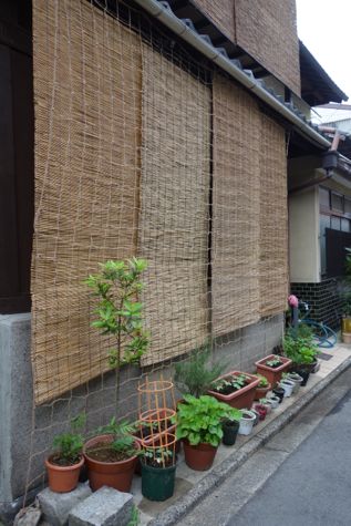 f0068334_104977.jpg