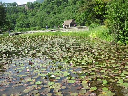 世界文化遺産　『白川郷』　散策♪_a0243143_19342064.jpg