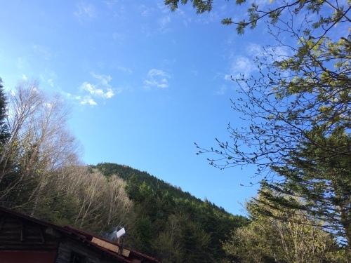 5月27日の日記_c0369344_16231518.jpeg