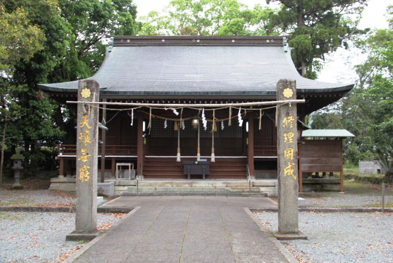 楽天市場】あす楽 脊椎骨盤模型(股関節付)GX-126 せきついの人骨