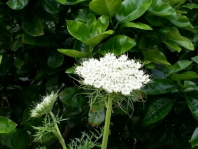 c0330749_23233677.jpg