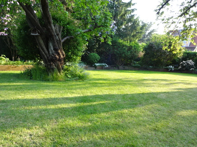 b0109054_02571167.jpg