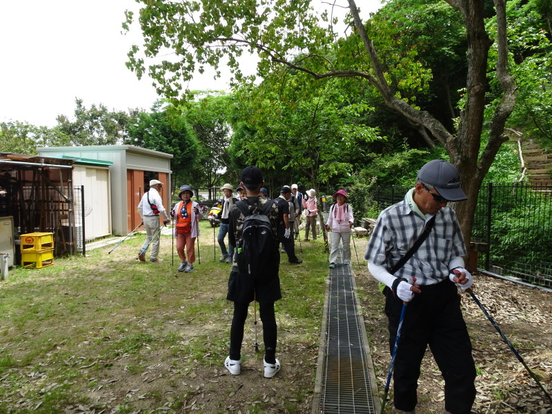 『阪南ノルディックウオークいきいき会』「ササユリ観察会」　in　うみべの森_c0108460_00412508.jpg