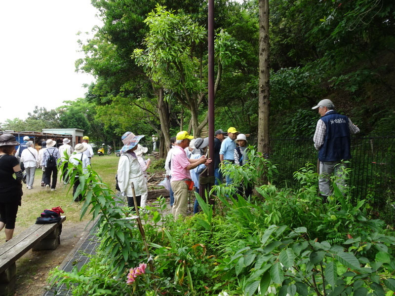 「淡輪長生会：ササユリ観察会」  in　うみべの森_c0108460_02502606.jpg