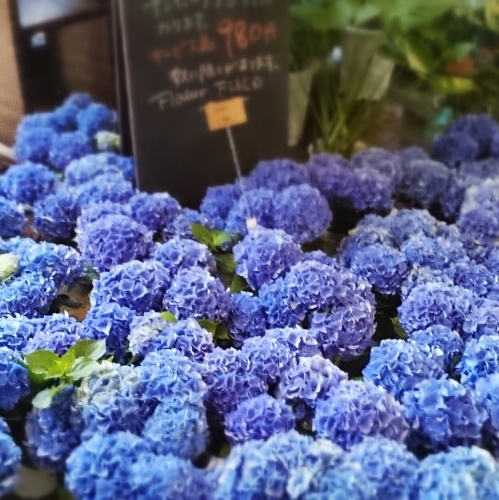 RK GARDEN*POINT MAKERS のブランチ @追分_f0236260_01522826.jpg