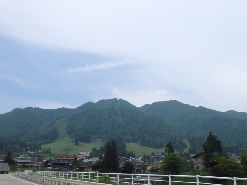 f0350468_08241939.jpg