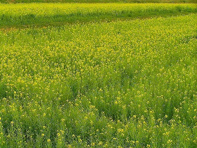b0171771_02124869.jpg