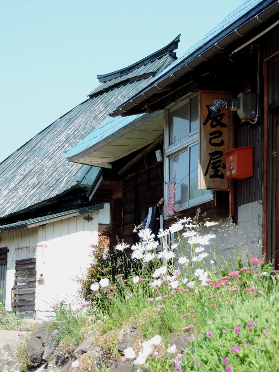 長野そぞろ歩き：街道を歩く会・信濃白鳥～上境_f0049074_08315976.jpg