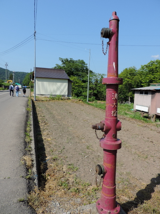 長野そぞろ歩き：街道を歩く会・信濃白鳥～上境_f0049074_08325396.jpg