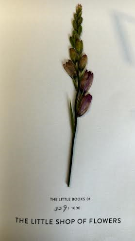 f0354880_15210192.png