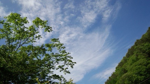 a0130586_22103240.jpg