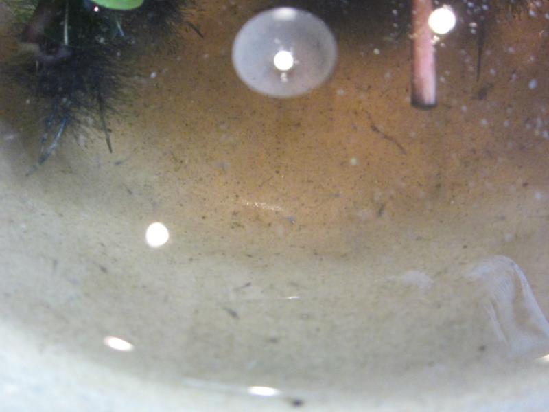 f0220087_1249941.jpg