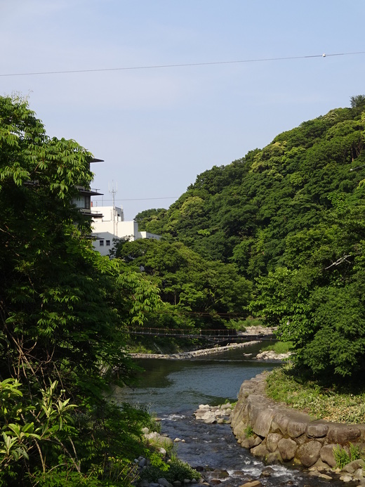箱根3_b0210688_18534718.jpg