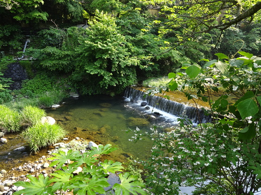 箱根3_b0210688_1913415.jpg