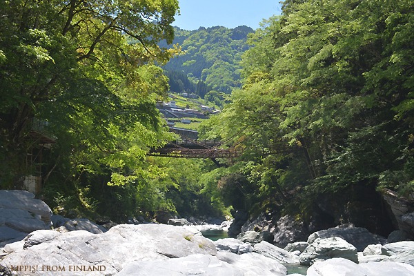 家族で日本に帰国訪問　徳島県 祖谷_d0090294_6375264.jpg