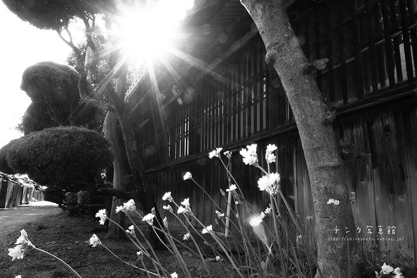 昭和、レトロな住宅街 : チンク写真館