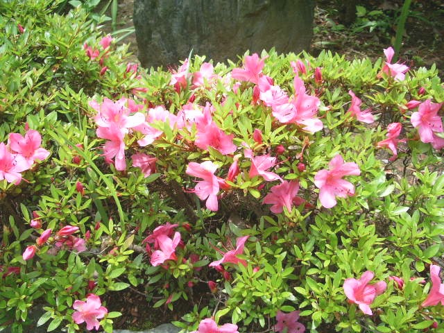 e0025300_19534466.jpg