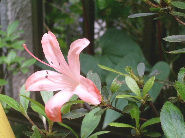 e0025300_2091373.jpg