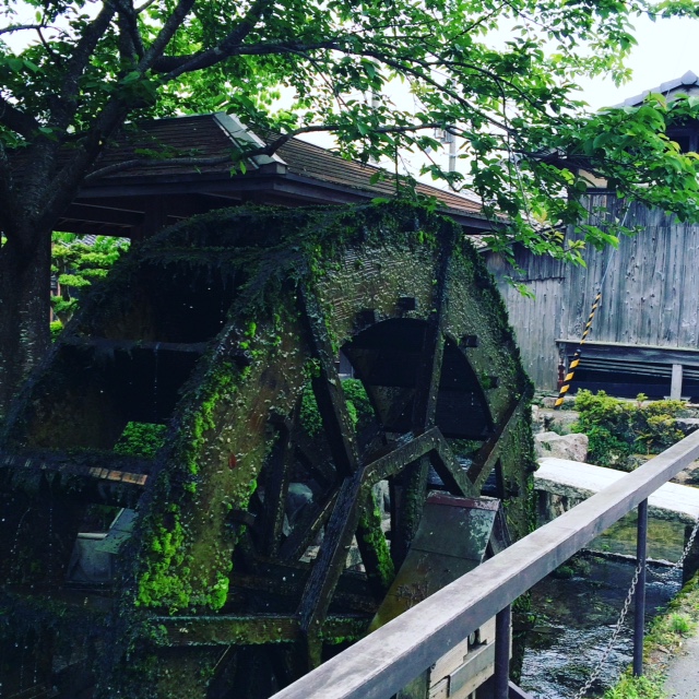 　京都から滋賀へ　　　「川端（かばたと読みます）で思うこと」_b0083902_12265938.jpg