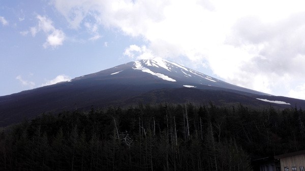 d0093903_228490.jpg