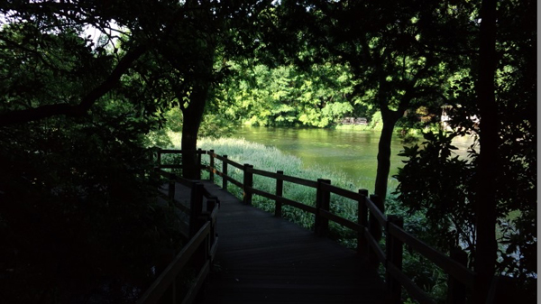 d0093903_2534574.jpg