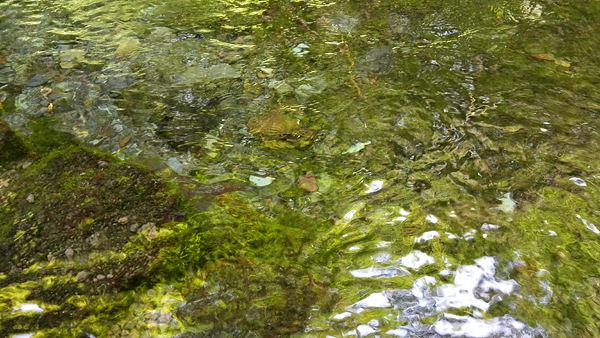 d0093903_3175627.jpg
