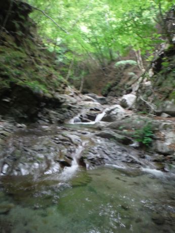b0172805_15154579.jpg