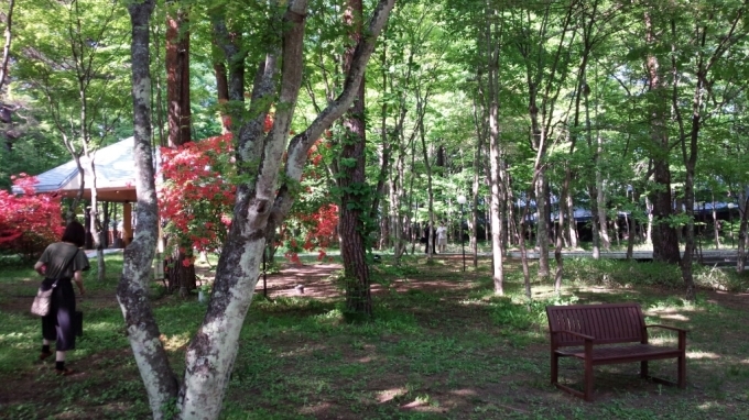 b0345108_21525564.jpg