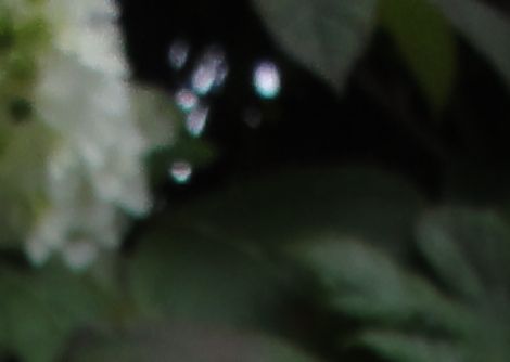 d0330311_5184526.jpg