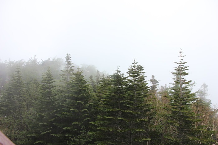 e0034013_203864.jpg