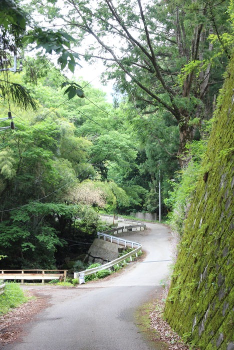 e0034013_2047777.jpg