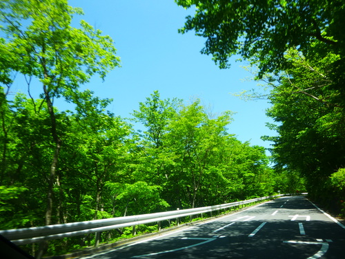 a0236914_756851.jpg