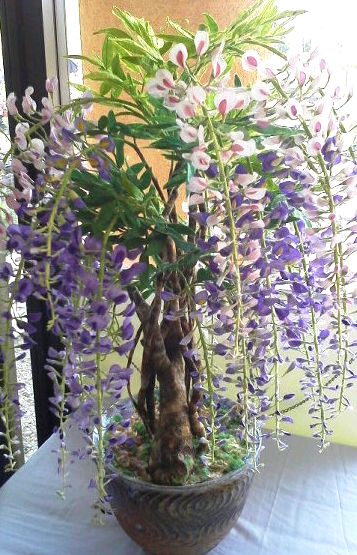 ええっ、この花本物じゃないの!?_e0234016_17423038.jpg